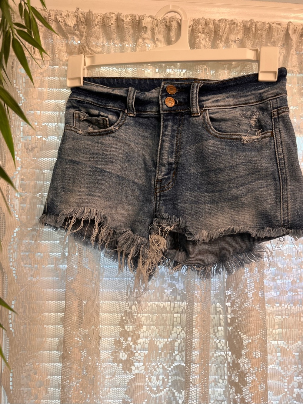 Women’s Boutique Frayed Jean Shorts